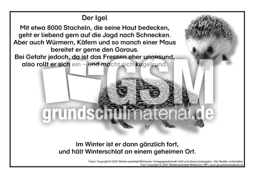 Der igel gedicht